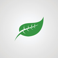 Eco icon green leaf isolated vector illustration.