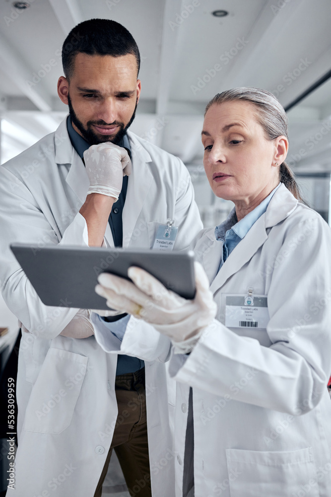 Poster Tablet, science and research with a man and woman scientist working on the internet in their laboratory. Innovation, technology and analytics with a medicine team at work in collaboration in the lab