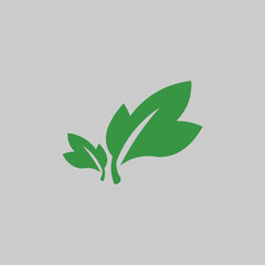 Eco icon green leaf isolated vector illustration.