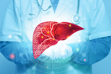 Human liver anatomy, Diseased liver, liver cancer, cross section. 3d illustration - obrazy, fototapety, plakaty