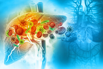 Medically accurate illustration of diseased liver. Virus infected liver. 3d illustration - obrazy, fototapety, plakaty