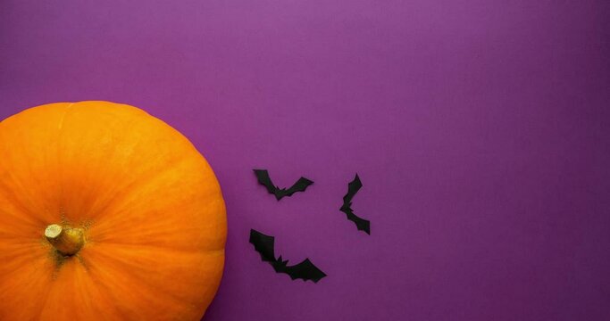 Orange pumpkin with a black silhouettes of bats on a purple background top view. Looped 4K stop motion animation