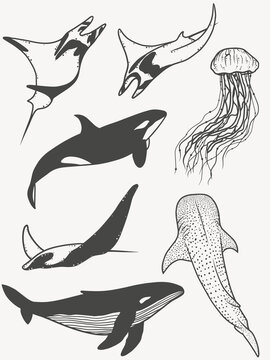 Set with ocean and sea creature, minimalistic silhouettes of underwater animals, vector art