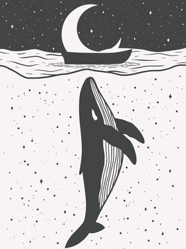 Whale with boat and the moon at night sky with stars