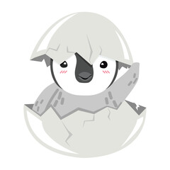 Cute chick Penguin hatched in egg