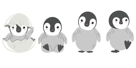 set of chic imperial penguin