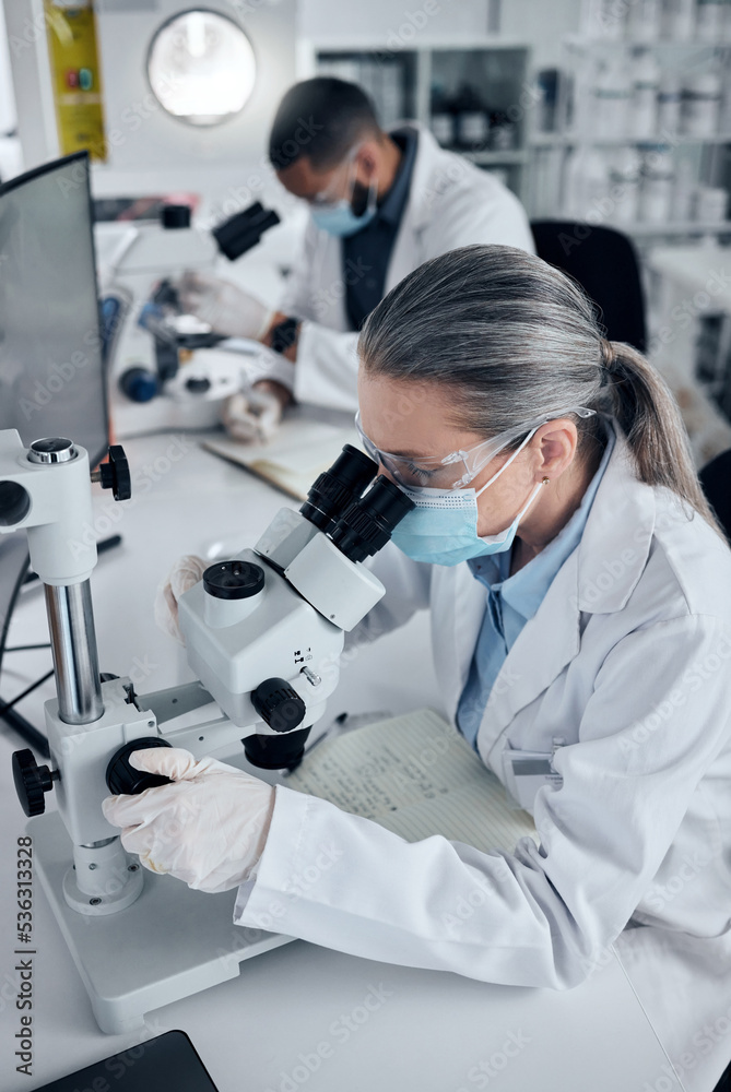 Poster covid, innovation and scientist with microscope in a laboratory for medical and vaccine research. sc