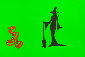 Halloween Witch on the green screen background.