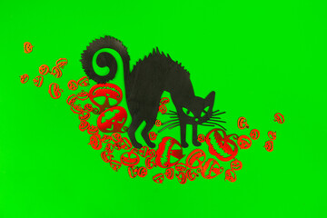 Halloween Pumpkins and Black cat on the green screen background.