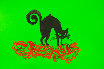 Halloween Pumpkins and Black cat on the green screen background.