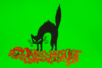 Halloween Pumpkins and Black cat on the green screen background.