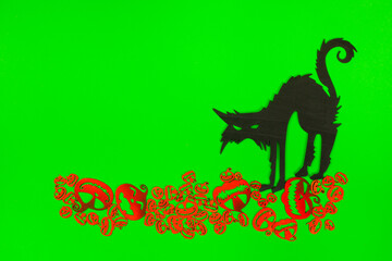 Halloween Pumpkins and Black cat on the green screen background.
