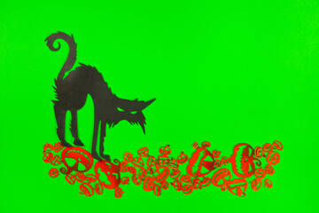 Halloween Pumpkins and Black cat on the green screen background.