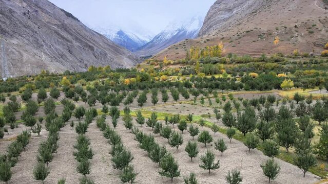 4K Aerial Shots of a small Village in Himachal Pradesh India - Apple Orchids in Himalayan Valley 30fps