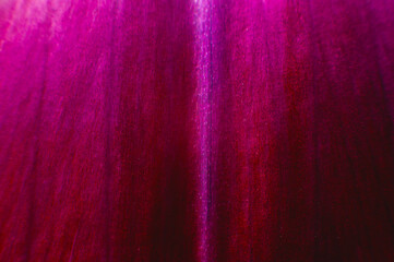 Pink bright texture for design background. Delicate classic texture. Colorful background, noir, intimate