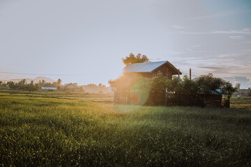 Fototapeta premium old farm house