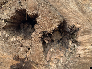 The old timber texture surface has holes and cracks.