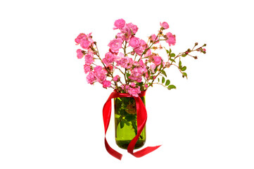 roses isolated on white background