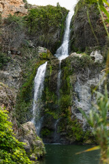 Obraz premium waterfall in the forest