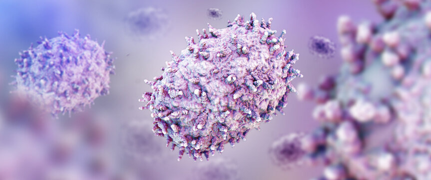 Detailed illustration of a monkeypox virus, few cells under a microscope, banner with empty space, 3d render.
