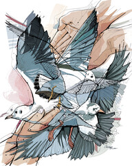 Handgezeichnete Vektorillustration, isoliert auf weißem Hintergrund. Zu sehen sind 3 Vögel bei der Fütterung. - 536322143