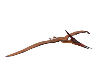 Pteranodon the giant flying reptile dinosaur. 3D illustration isolated. © IG Digital Arts