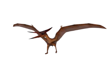 Foto op Aluminium Pteranodon dinosaur walking with wings spread. 3D illustration isolated. © IG Digital Arts