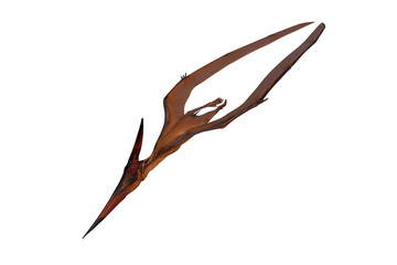 Pteranodon dinosaur diving to attack prey.. 3D illustration isolated.