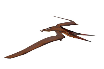 Pteranodon dinosaur fishing with beak open. 3D illustration isolated. © IG Digital Arts
