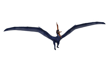 Blue Pteranodon standing with wings spread and mouth open. 3D illustration isolated. © IG Digital Arts