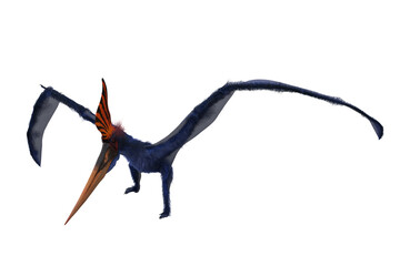 Blue Pteranodon with orange crest landing on ground. 3D illustration isolated. © IG Digital Arts