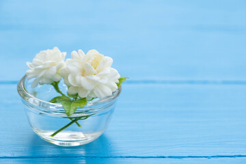 Fresh white Jasmine flower in clear mini cup on blue color wooden background