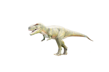 Isolated tyrannosaurus rex transparent PNG