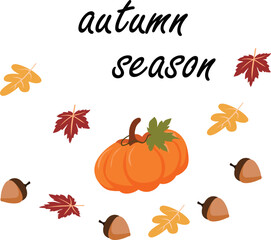 Pumpkin and autumn leaves