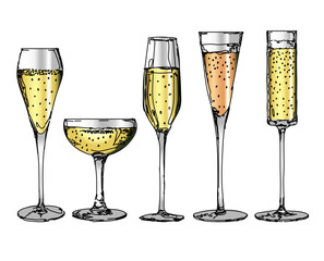 Hand drawn vector set of sparkling wine glasses