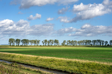 Fototapeta na wymiar Landscape in the Fens, channel, field and trees on an autumn day, Lincolnshire, East Midlands, England