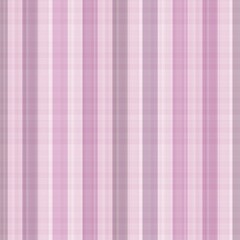 Design beautiful pattern stripes on white background mixed gardient. Background design for fabric , Banner, wallpaper, cloth, paper, pattern, curtain, bowl , kiichenware and room decorate