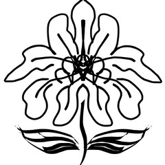 black and white flower