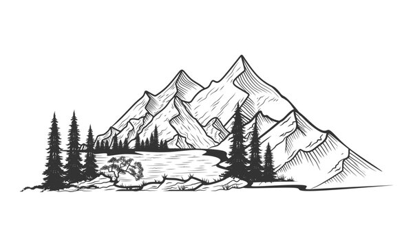 hand drawn mountain design. illustration of mountains and pine trees. for travel, hiking and outdoor activities