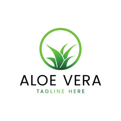 aloe vera vector template, design inspiration 