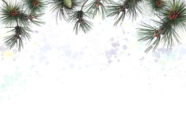 pine branches in snow, christmas background
