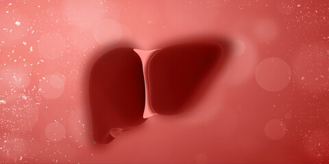 Realistic human liver 2d illustration