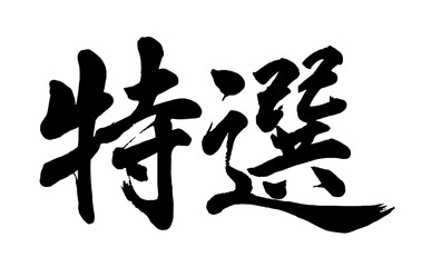 【書道講師の筆文字素材】特選　手書き毛筆　漢字