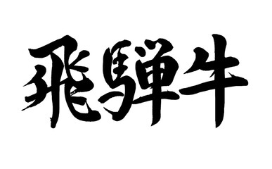 【書道講師の筆文字素材】飛騨牛（ブランド牛肉）　手書き毛筆　漢字 