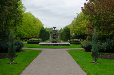 landscape in the park