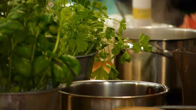 Fresh Mediterranean herbs are used in cooking