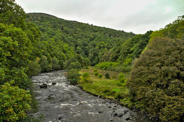 Fototapeta na wymiar River in the woods. English countryside.