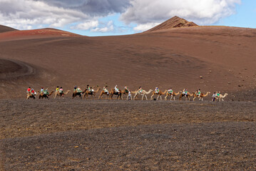 Fototapeta na wymiar Riding camels in National Park of Timanfaya - Lanzarote Spain