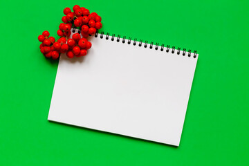 Sheet of paper and rowan on green background