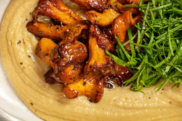 Hummus with fried chanterelle mushrooms.